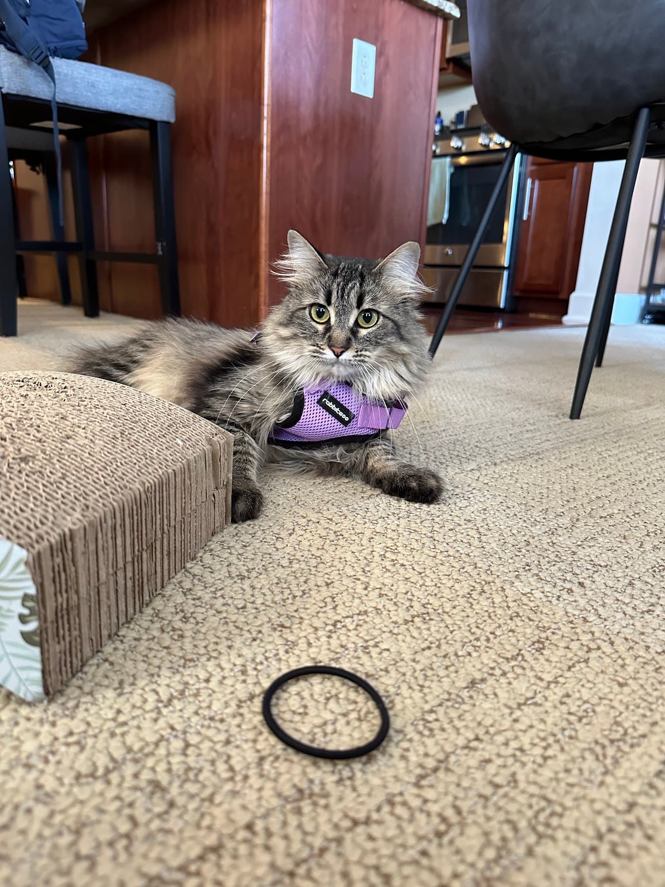 Will and Erin at Boston College